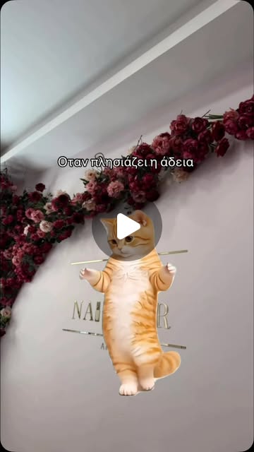 The Nail Bar Athens Reel 5